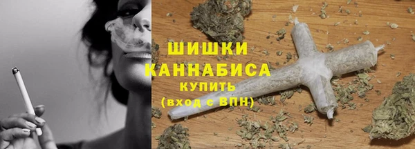 индика Верхнеуральск