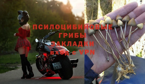 ALPHA PVP Верхний Тагил