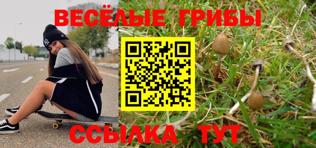 Галлюциногенные грибы Cubensis  Вход с VPN  Псилоцибиновые грибы ЛСД  Новошахтинск 