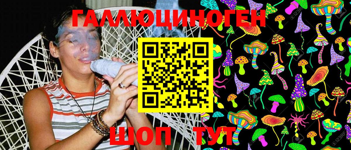 Галлюциногенные грибы Psilocybe Новошахтинск
